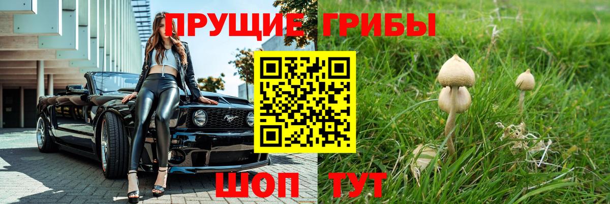 Галлюциногенные грибы прущие грибы Дальнегорск