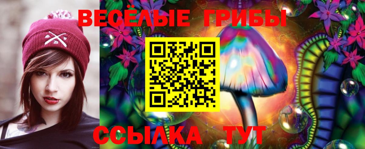 Дальнегорск  Псилоцибиновые грибы Psilocybe  Вход с VPN 